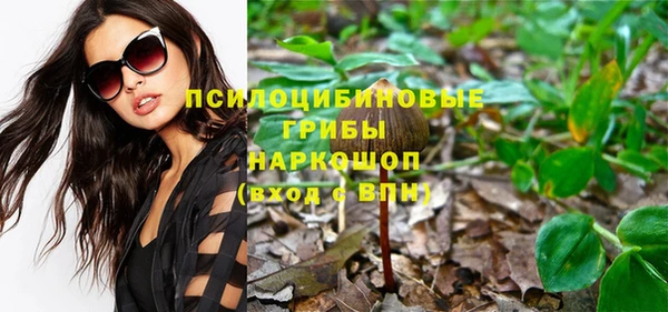 хмурый Балабаново