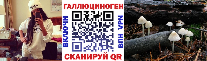 Галлюциногенные грибы ЛСД  hydra   Вяземский  купить  цена 